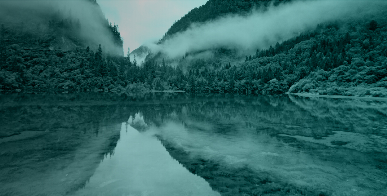banner-image