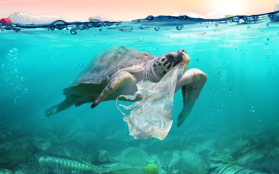 Plastic Pandemic